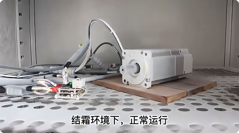 6382607100288501392447500.jpg 6382607100288501392447500.jpg